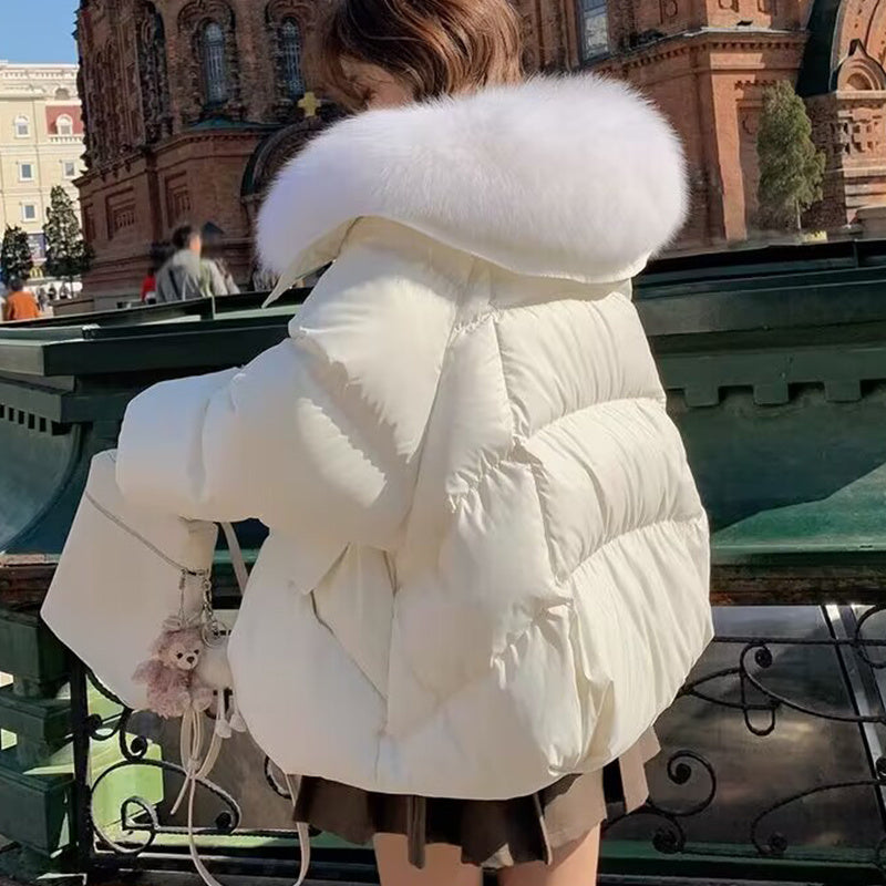 Down Cotton-padded Jacket Women's Short Fur Collar Thickened Coat Winter Clothing